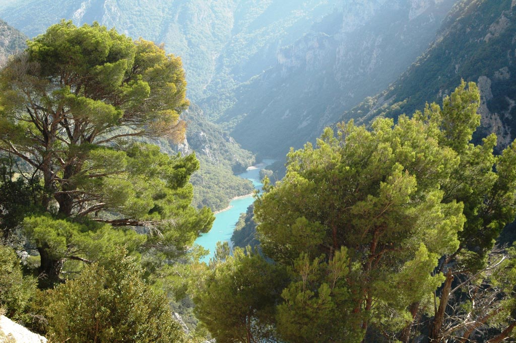 location à côté de saint rémy de Provence